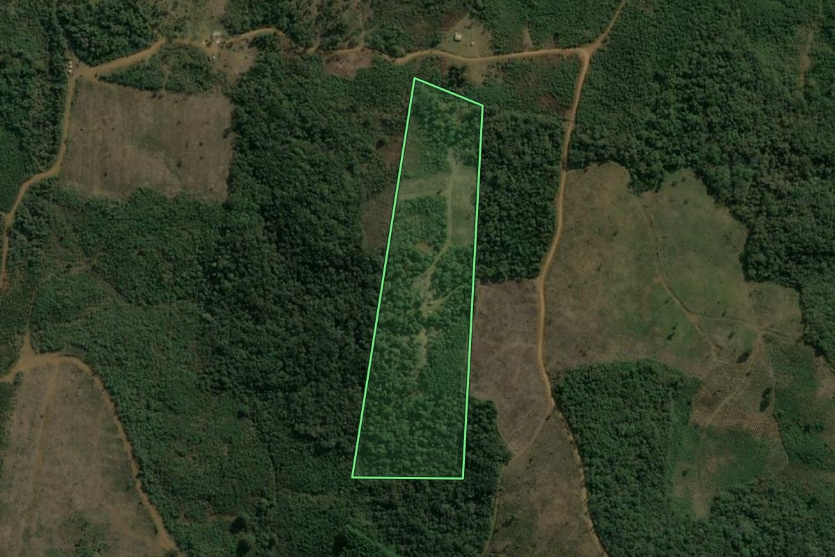 Imagem de satélite do imóvel rural em Inácio Martins (PR), com o contorno declarado no CAR desenhado por cima.