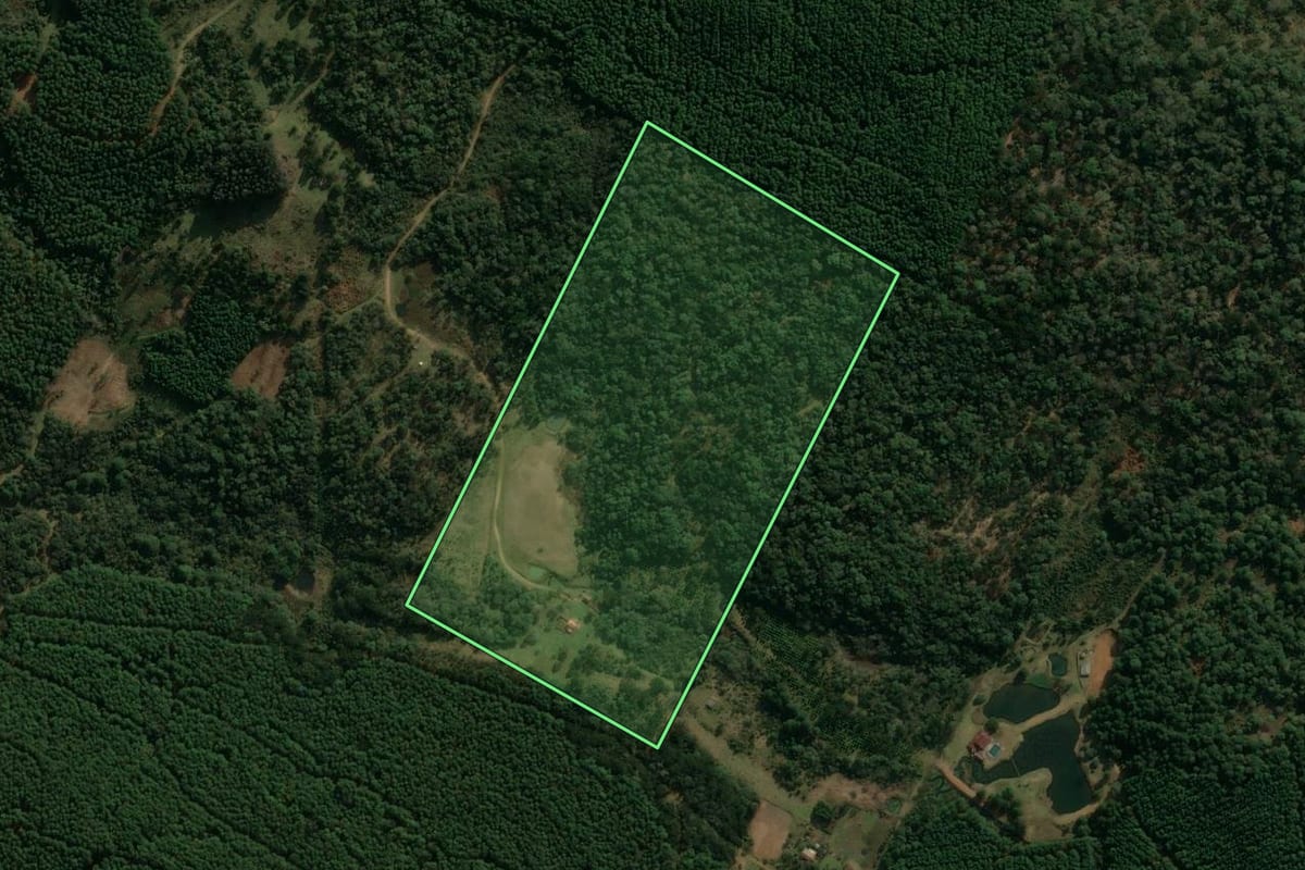 Imagem de satélite do imóvel rural em Inácio Martins (PR), com o contorno declarado no CAR desenhado por cima.