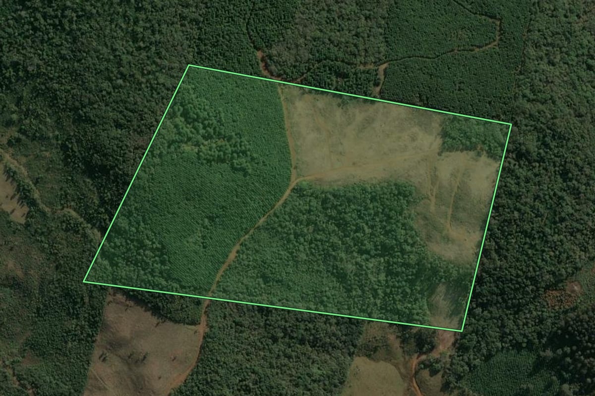 Imagem de satélite do imóvel rural em Inácio Martins (PR), com o contorno declarado no CAR desenhado por cima.