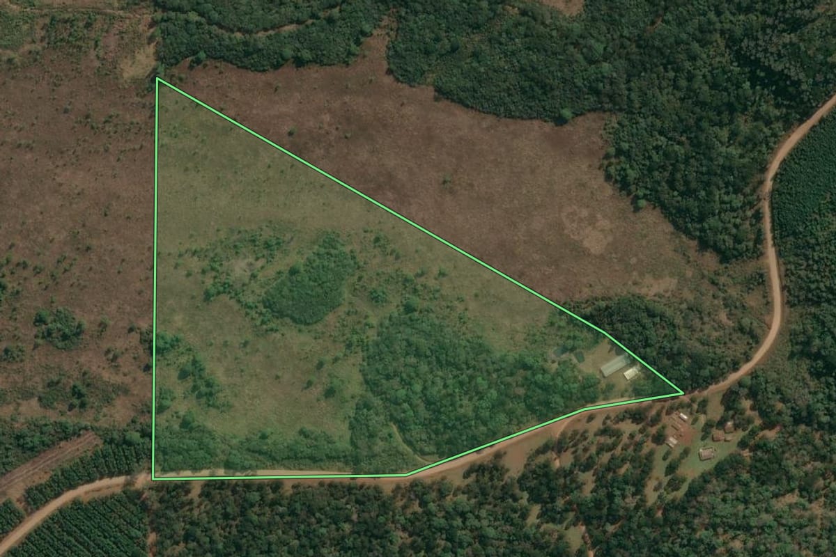 Imagem de satélite do imóvel rural em Inácio Martins (PR), com o contorno declarado no CAR desenhado por cima.