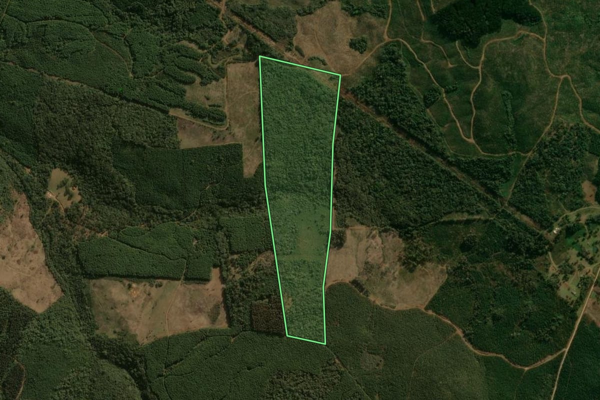 Imagem de satélite do imóvel rural em Inácio Martins (PR), com o contorno declarado no CAR desenhado por cima.