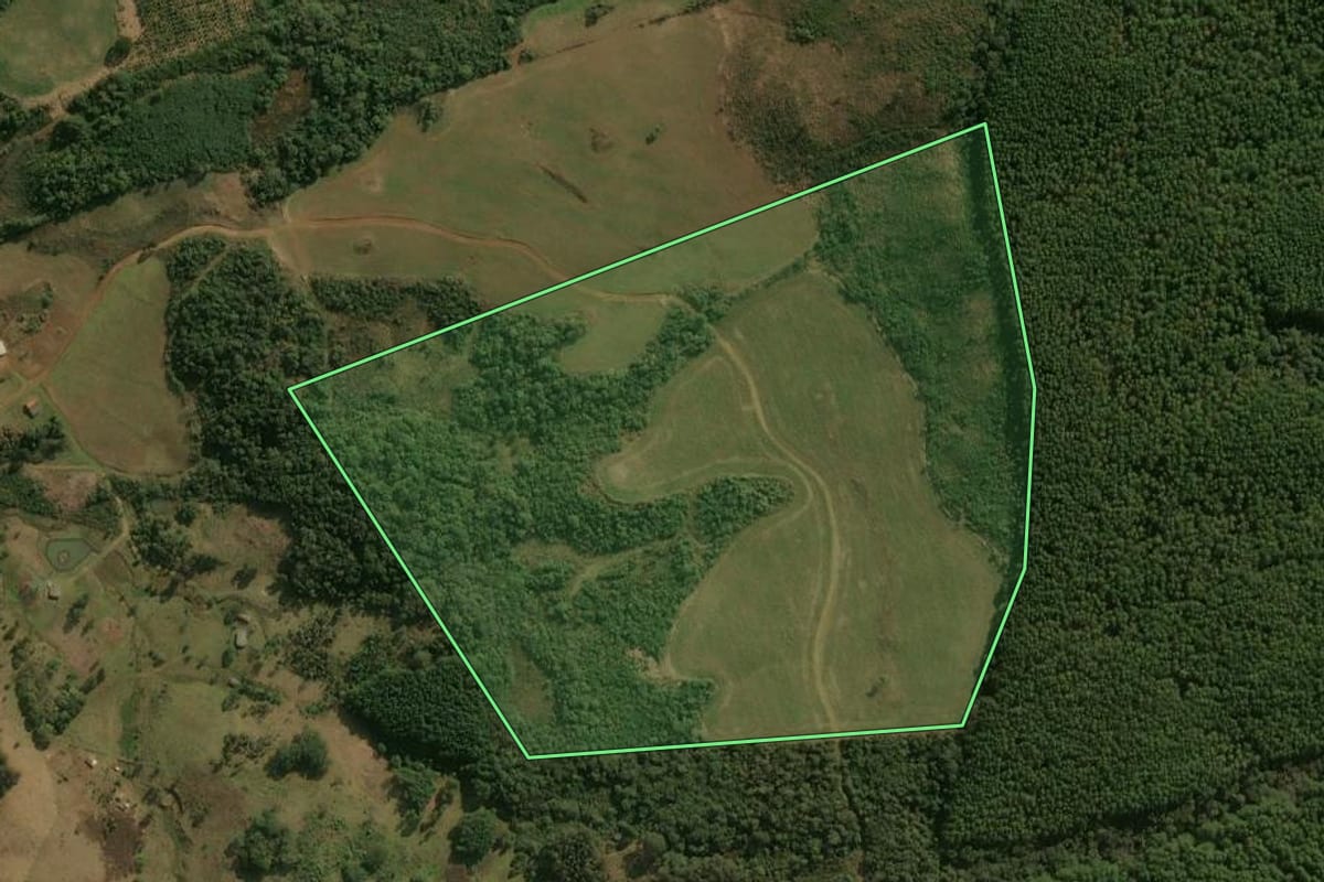 Imagem de satélite do imóvel rural em Inácio Martins (PR), com o contorno declarado no CAR desenhado por cima.