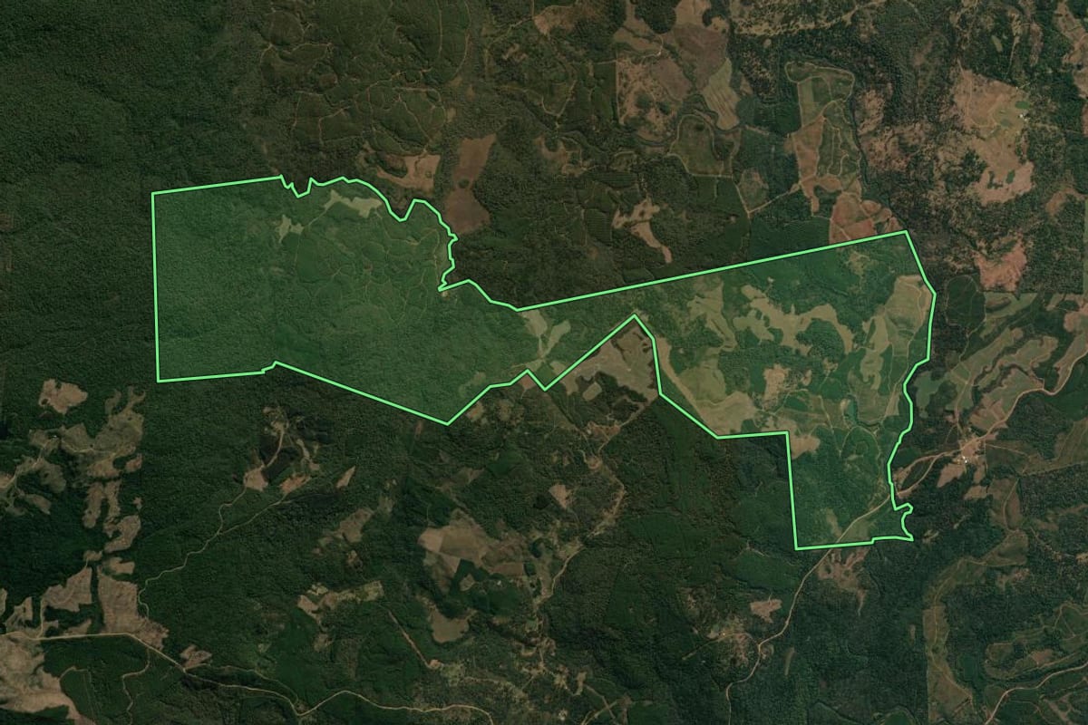 Imagem de satélite do imóvel rural em Inácio Martins (PR), com o contorno declarado no CAR desenhado por cima.