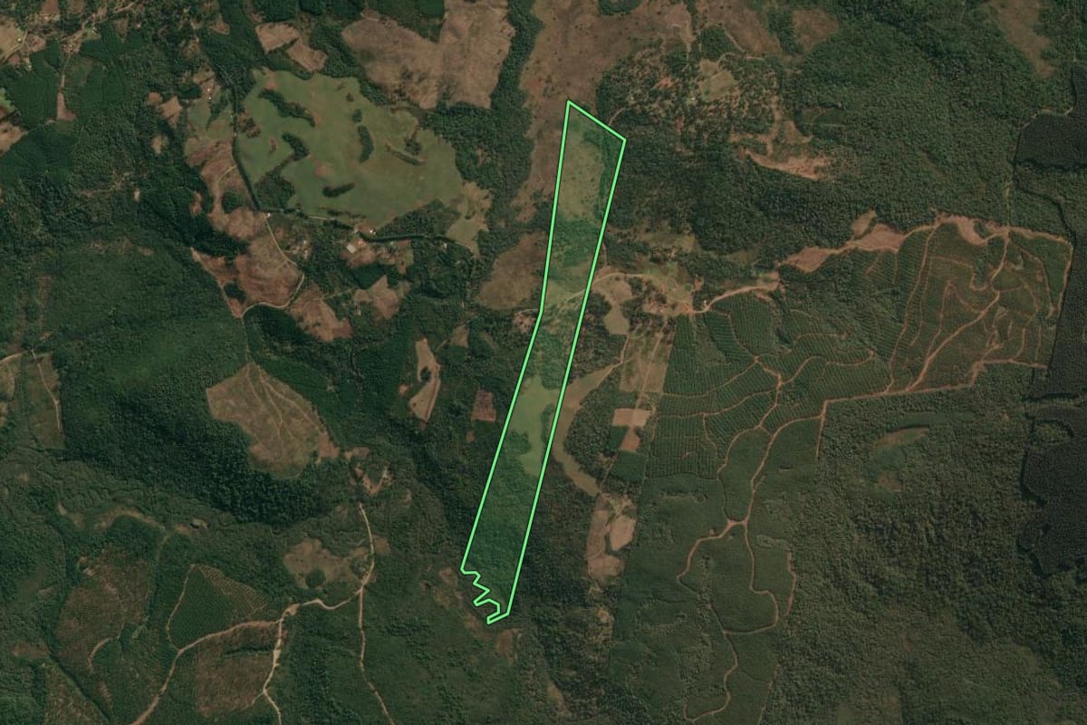 Imagem de satélite do imóvel rural em Inácio Martins (PR), com o contorno declarado no CAR desenhado por cima.