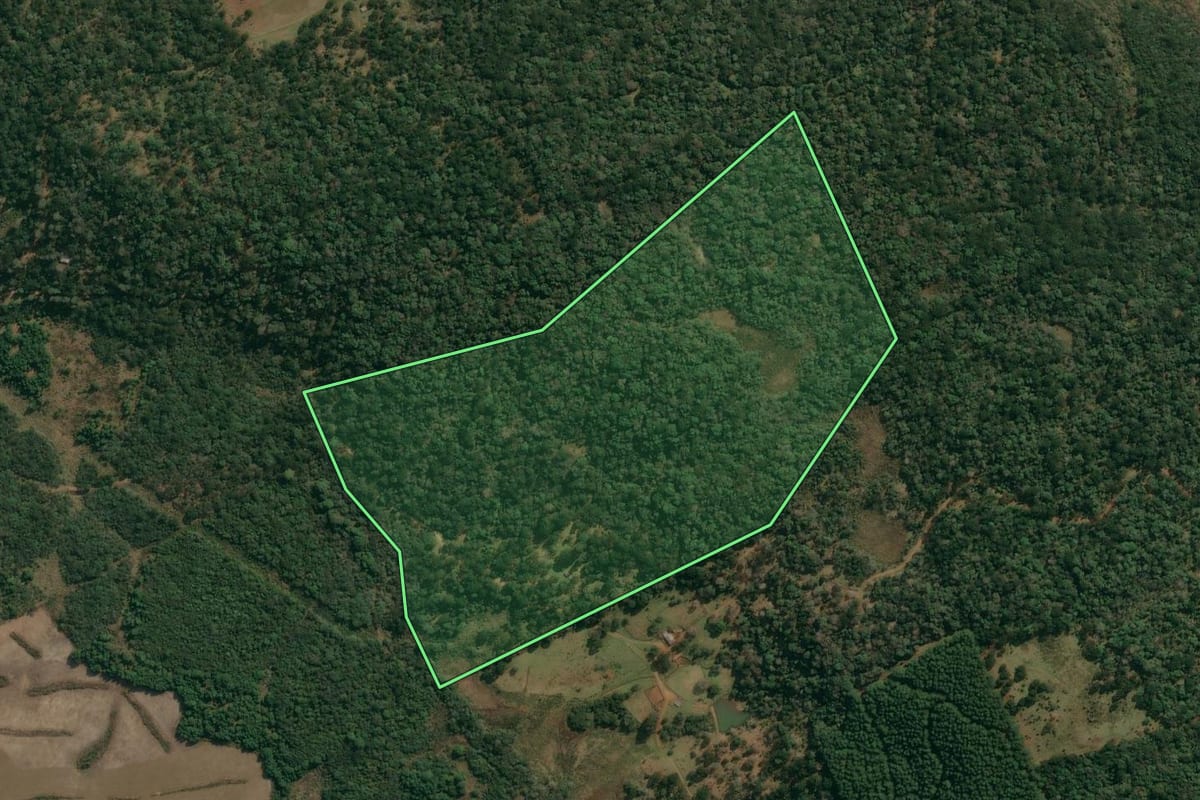 Imagem de satélite do imóvel rural em Inácio Martins (PR), com o contorno declarado no CAR desenhado por cima.