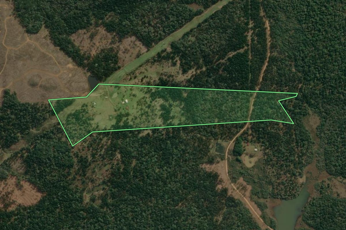 Imagem de satélite do imóvel rural em Inácio Martins (PR), com o contorno declarado no CAR desenhado por cima.