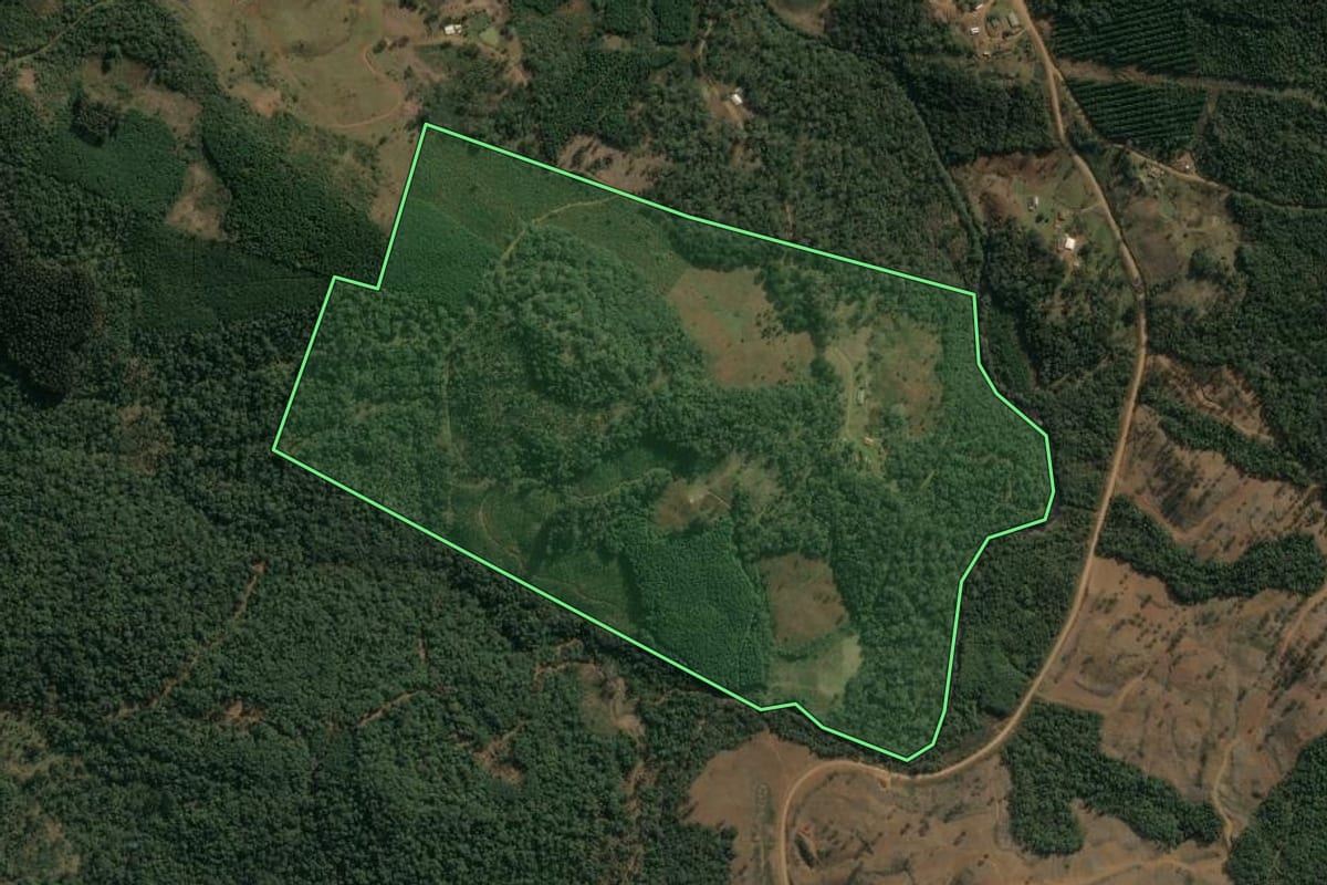 Imagem de satélite do imóvel rural em Inácio Martins (PR), com o contorno declarado no CAR desenhado por cima.