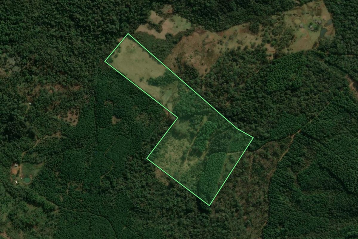 Imagem de satélite do imóvel rural em Inácio Martins (PR), com o contorno declarado no CAR desenhado por cima.