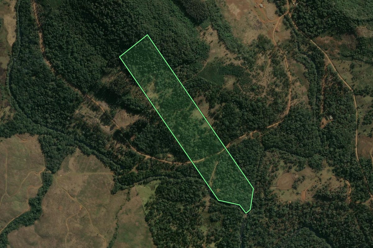 Imagem de satélite do imóvel rural em Inácio Martins (PR), com o contorno declarado no CAR desenhado por cima.