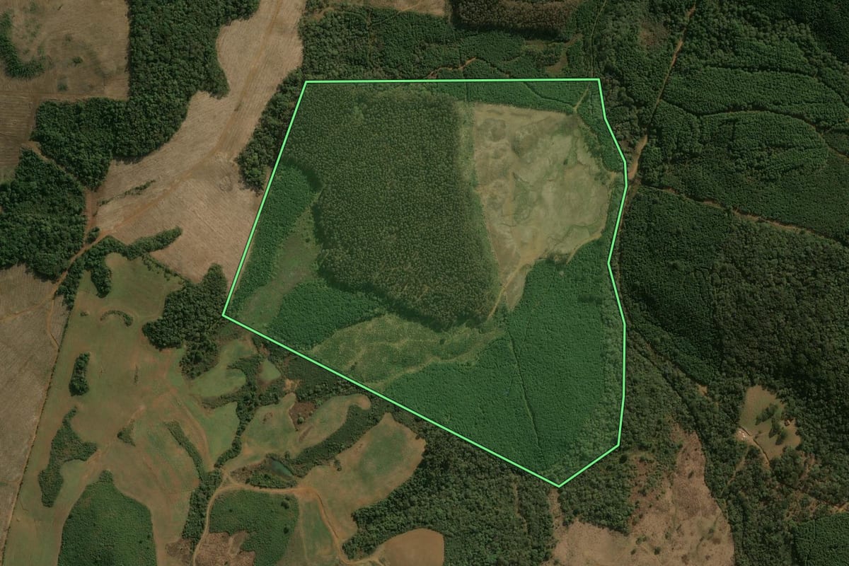 Imagem de satélite do imóvel rural em Inácio Martins (PR), com o contorno declarado no CAR desenhado por cima.