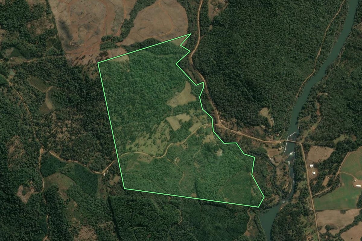 Imagem de satélite do imóvel rural em Inácio Martins (PR), com o contorno declarado no CAR desenhado por cima.