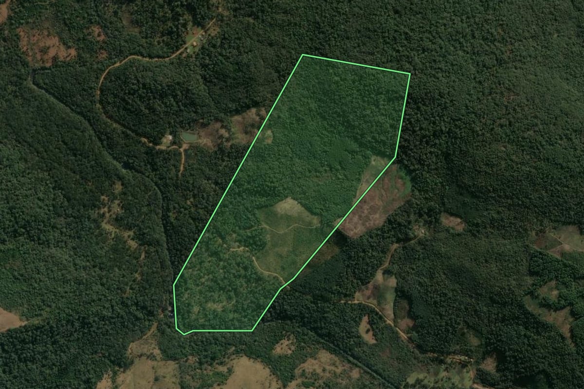 Imagem de satélite do imóvel rural em Inácio Martins (PR), com o contorno declarado no CAR desenhado por cima.