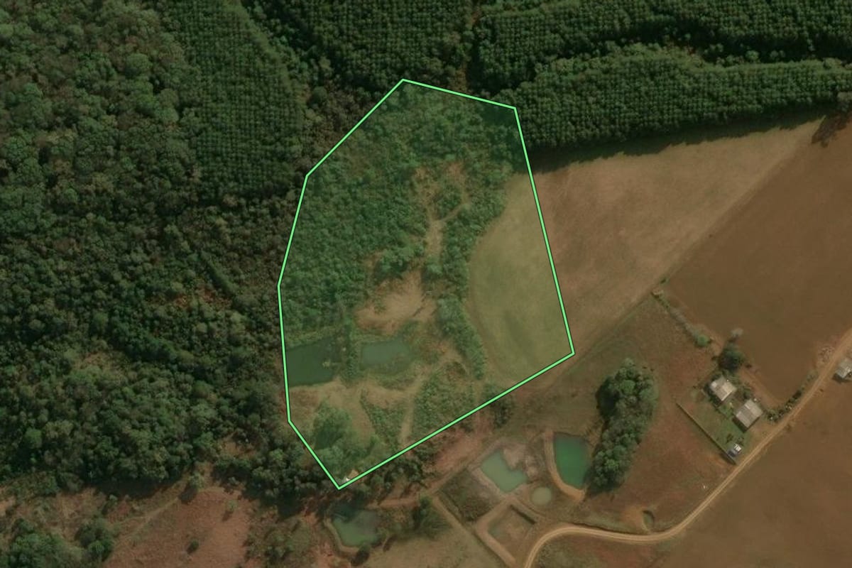 Imagem de satélite do imóvel rural em Inácio Martins (PR), com o contorno declarado no CAR desenhado por cima.