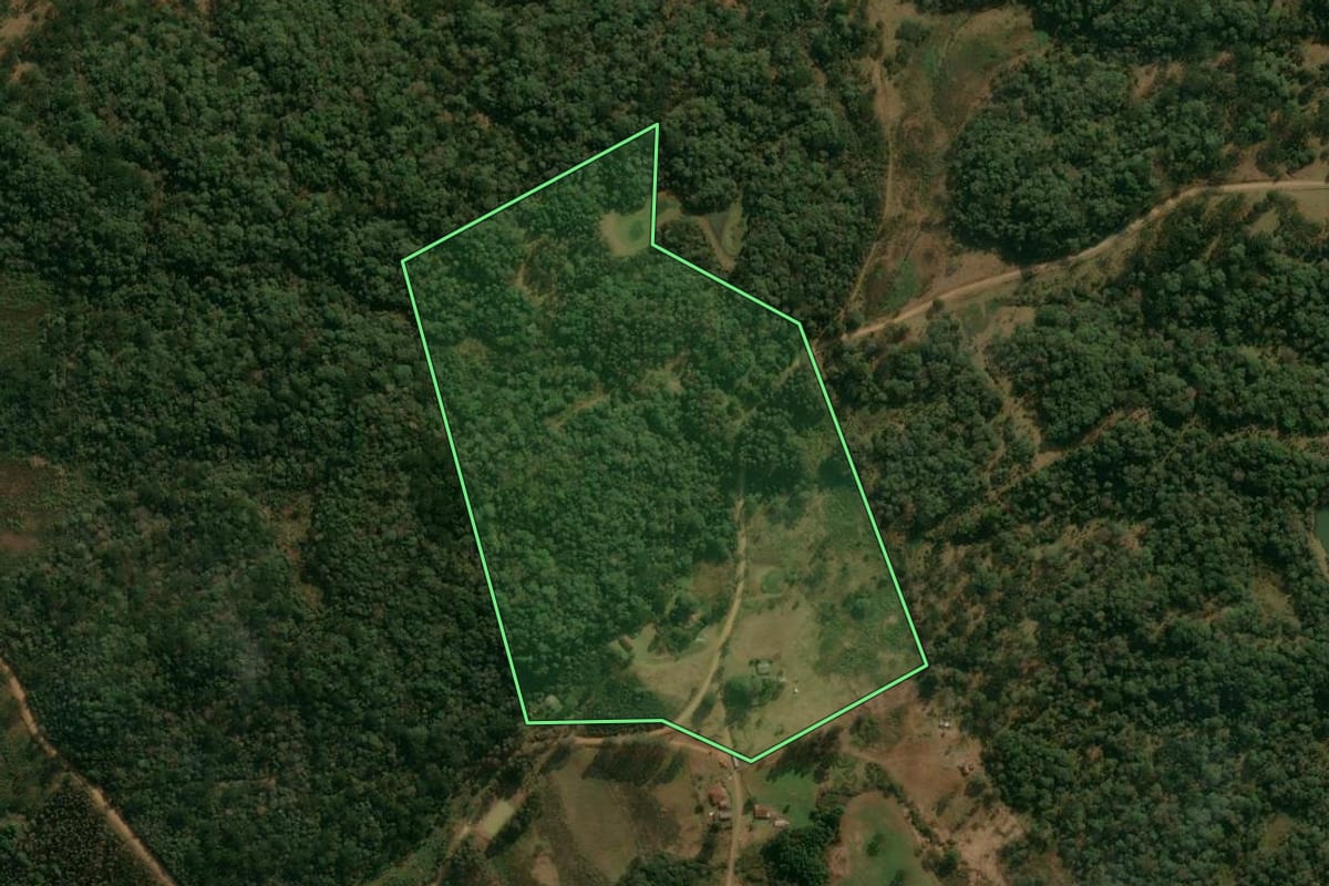 Imagem de satélite do imóvel rural em Inácio Martins (PR), com o contorno declarado no CAR desenhado por cima.