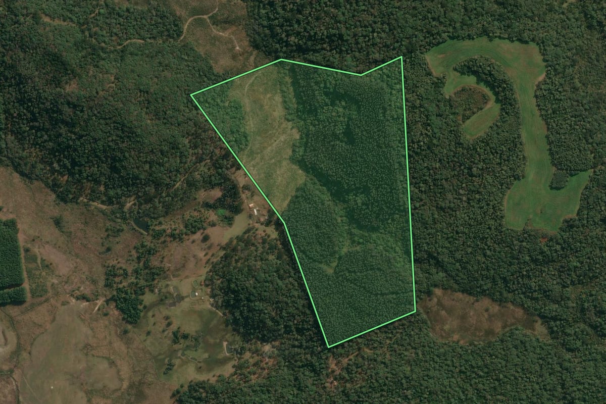 Imagem de satélite do imóvel rural em Inácio Martins (PR), com o contorno declarado no CAR desenhado por cima.