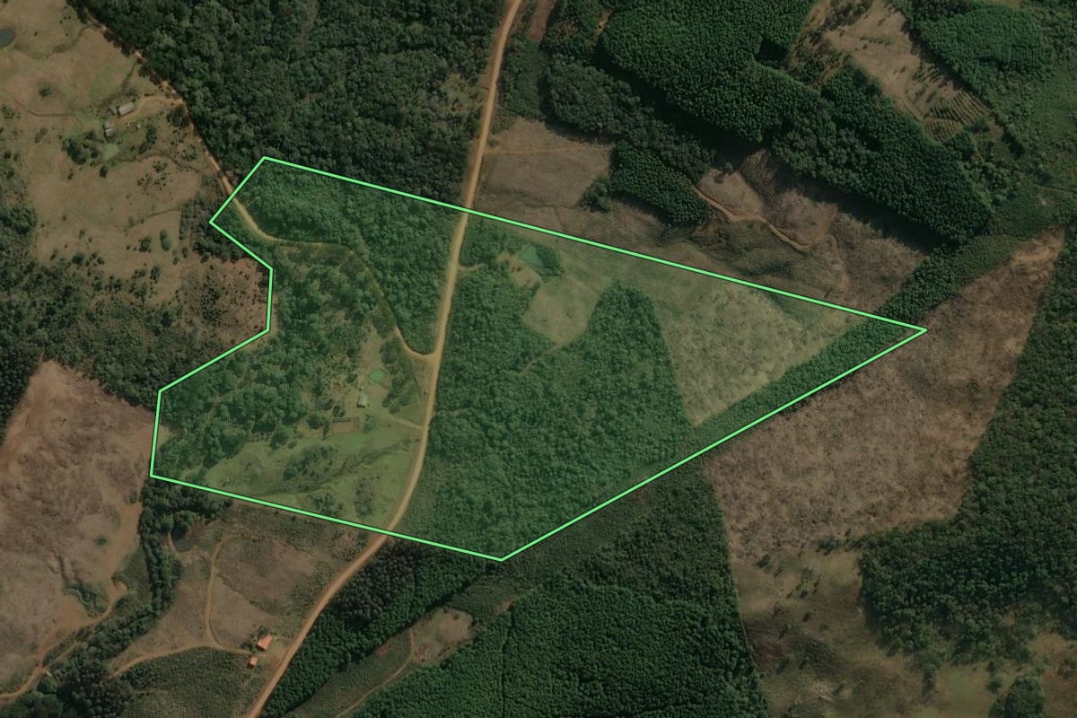 Imagem de satélite do imóvel rural em Inácio Martins (PR), com o contorno declarado no CAR desenhado por cima.