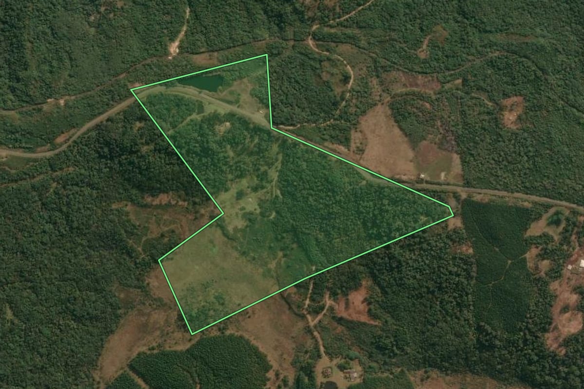 Imagem de satélite do imóvel rural em Inácio Martins (PR), com o contorno declarado no CAR desenhado por cima.