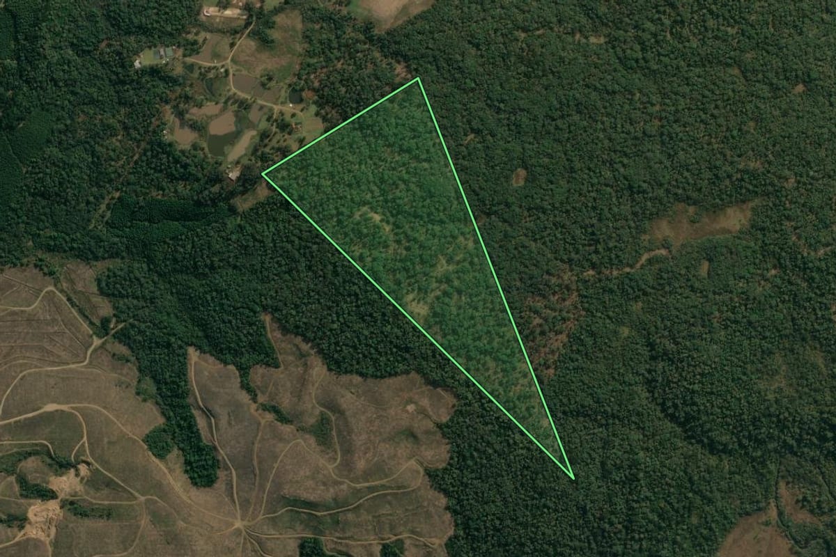 Imagem de satélite do imóvel rural em Inácio Martins (PR), com o contorno declarado no CAR desenhado por cima.