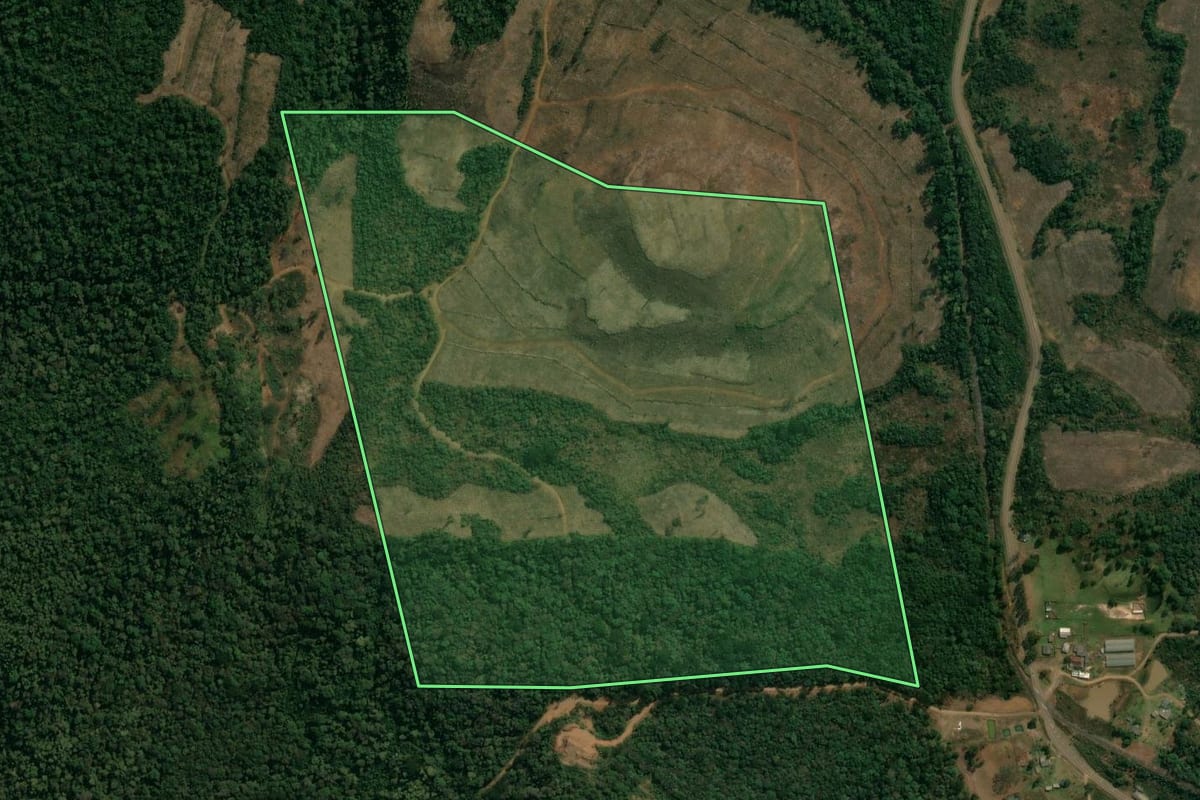 Imagem de satélite do imóvel rural em Inácio Martins (PR), com o contorno declarado no CAR desenhado por cima.