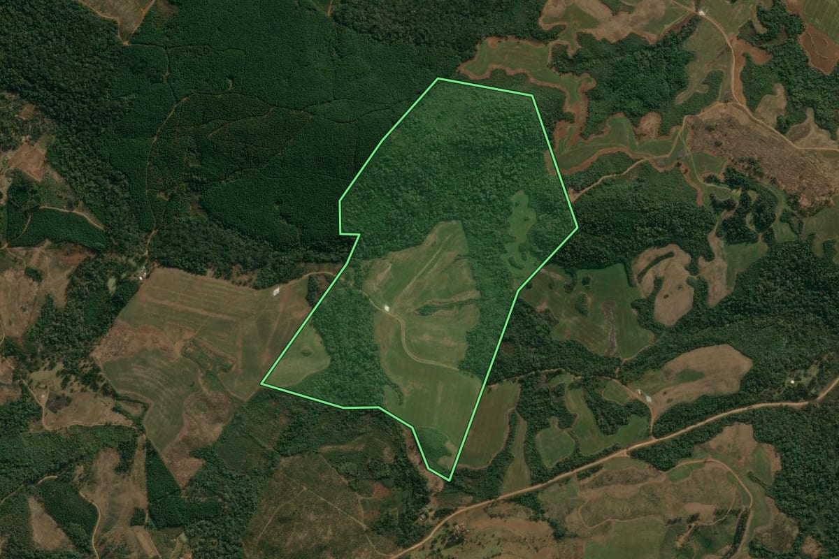 Imagem de satélite do imóvel rural em Inácio Martins (PR), com o contorno declarado no CAR desenhado por cima.