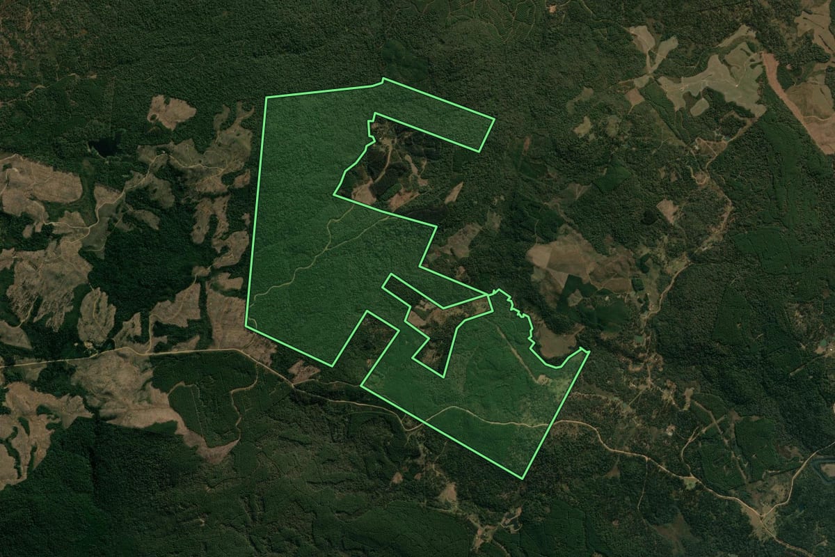 Imagem de satélite do imóvel rural em Inácio Martins (PR), com o contorno declarado no CAR desenhado por cima.