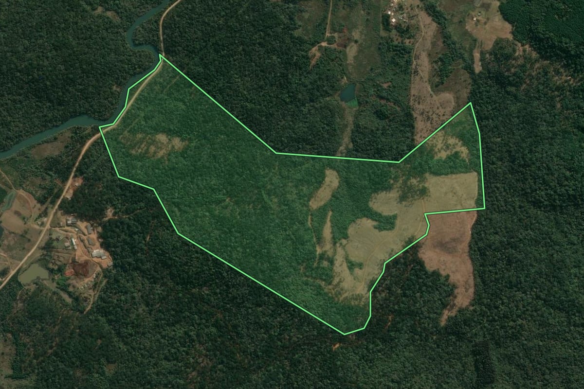 Imagem de satélite do imóvel rural em Inácio Martins (PR), com o contorno declarado no CAR desenhado por cima.
