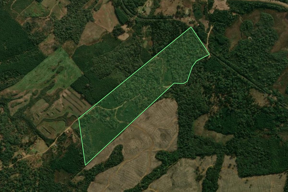 Imagem de satélite do imóvel rural em Inácio Martins (PR), com o contorno declarado no CAR desenhado por cima.