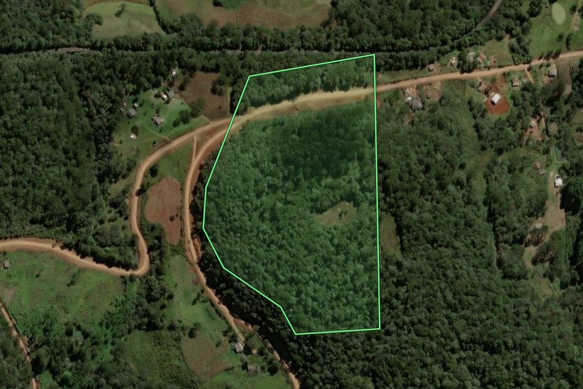 Imagem de satélite do imóvel rural em Inácio Martins (PR), com o contorno declarado no CAR desenhado por cima.