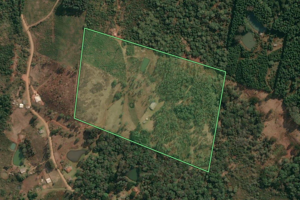 Imagem de satélite do imóvel rural em Inácio Martins (PR), com o contorno declarado no CAR desenhado por cima.