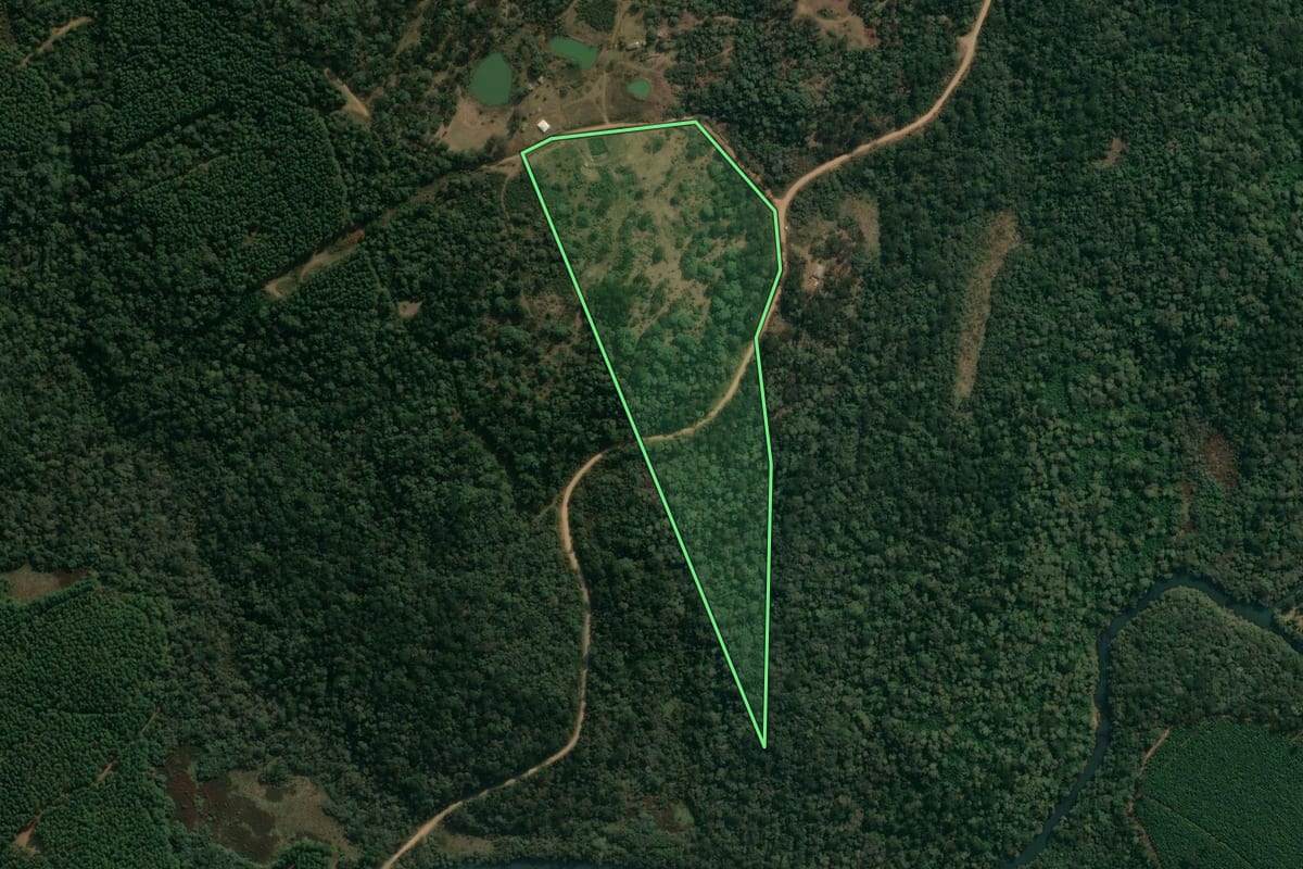Imagem de satélite do imóvel rural em Inácio Martins (PR), com o contorno declarado no CAR desenhado por cima.