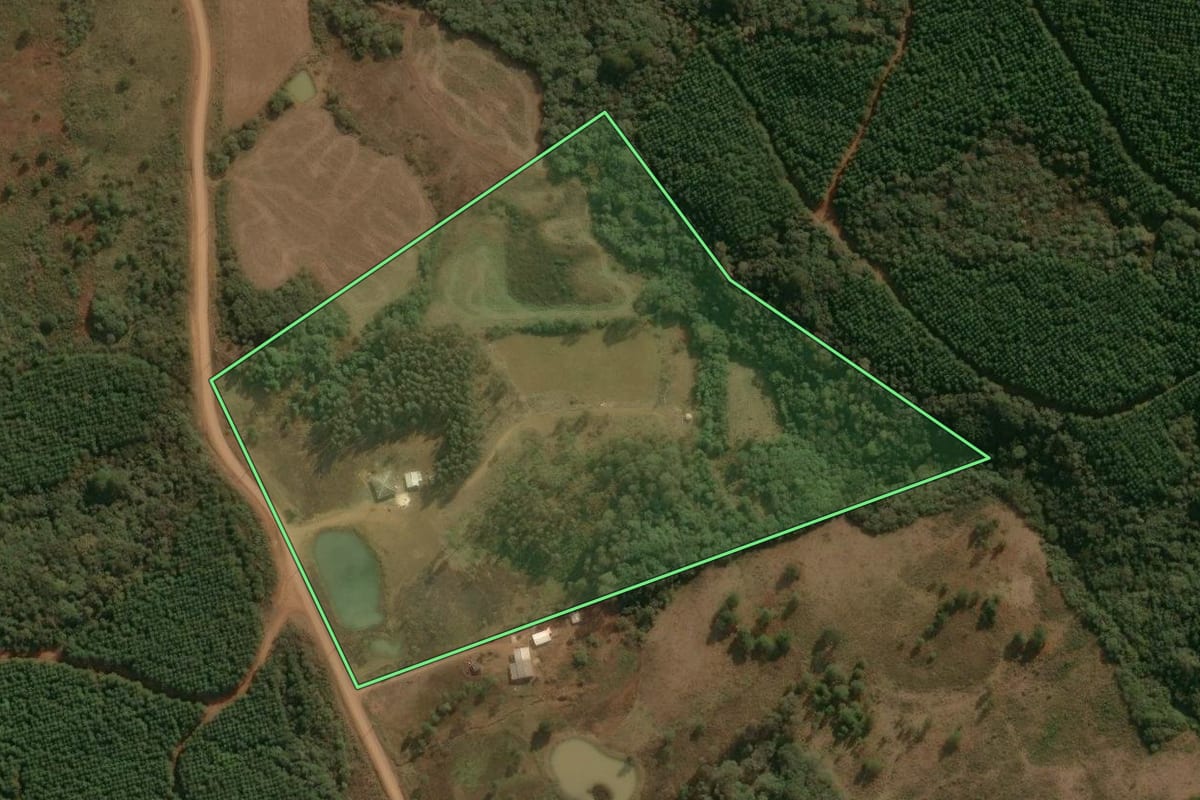 Imagem de satélite do imóvel rural em Inácio Martins (PR), com o contorno declarado no CAR desenhado por cima.