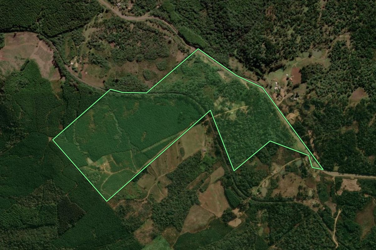 Imagem de satélite do imóvel rural em Inácio Martins (PR), com o contorno declarado no CAR desenhado por cima.