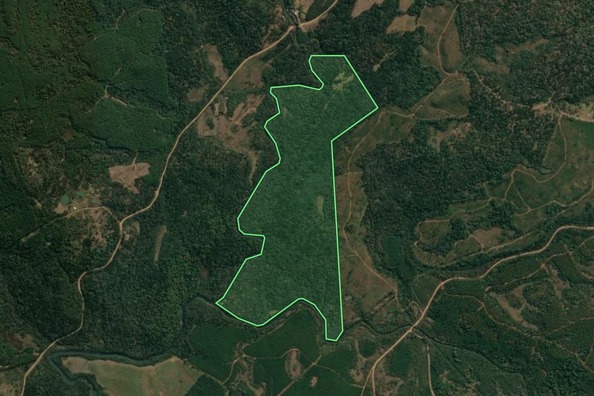 Imagem de satélite do imóvel rural em Inácio Martins (PR), com o contorno declarado no CAR desenhado por cima.