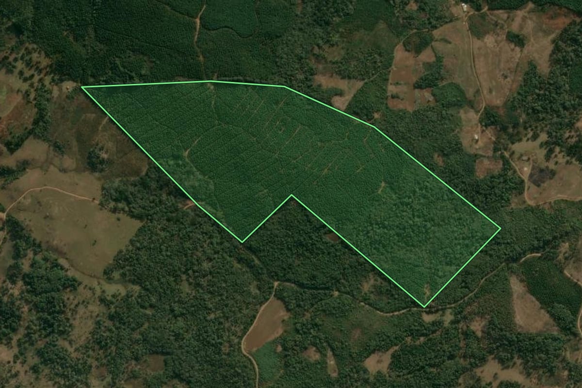 Imagem de satélite do imóvel rural em Inácio Martins (PR), com o contorno declarado no CAR desenhado por cima.