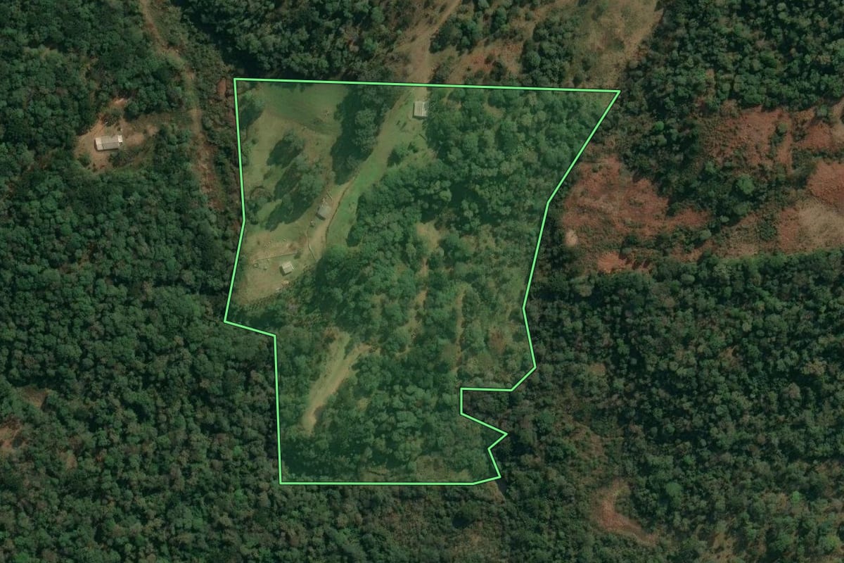Imagem de satélite do imóvel rural em Inácio Martins (PR), com o contorno declarado no CAR desenhado por cima.