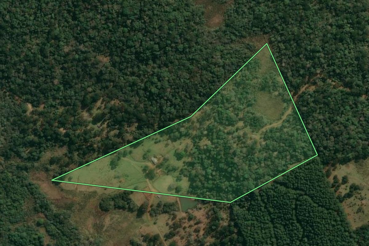Imagem de satélite do imóvel rural em Inácio Martins (PR), com o contorno declarado no CAR desenhado por cima.