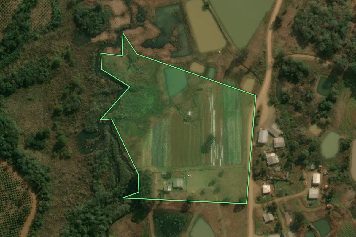 Imagem de satélite do imóvel rural em Inácio Martins (PR), com o contorno declarado no CAR desenhado por cima.