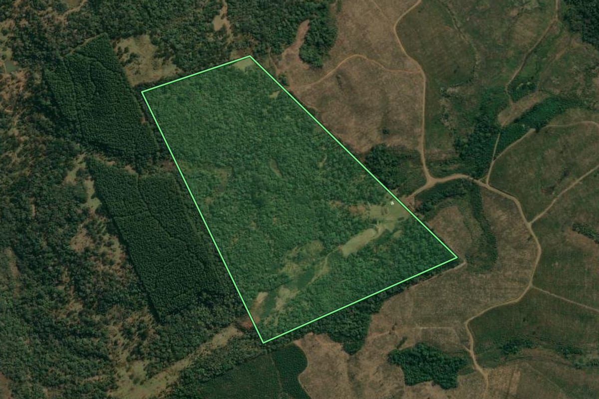 Imagem de satélite do imóvel rural em Inácio Martins (PR), com o contorno declarado no CAR desenhado por cima.
