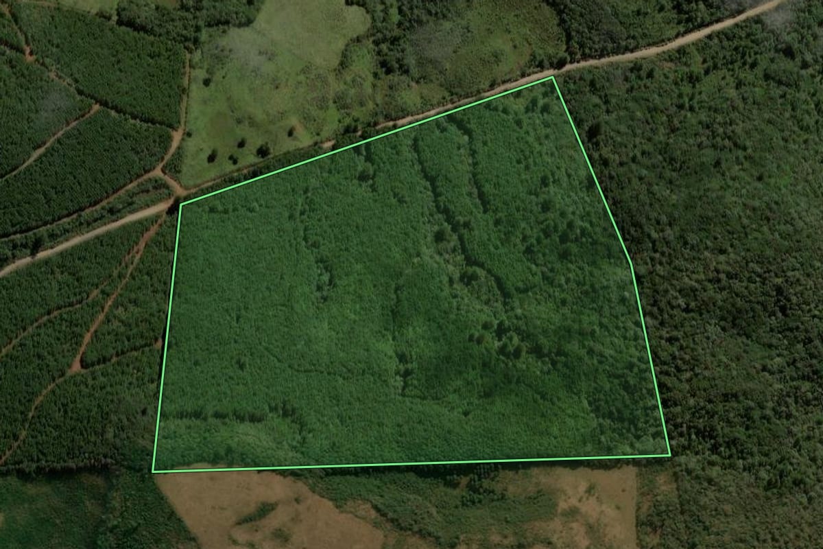 Imagem de satélite do imóvel rural em Inácio Martins (PR), com o contorno declarado no CAR desenhado por cima.