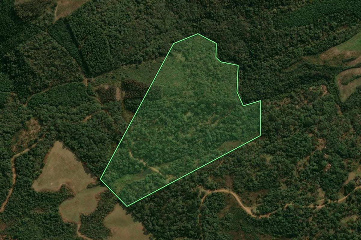 Imagem de satélite do imóvel rural em Inácio Martins (PR), com o contorno declarado no CAR desenhado por cima.