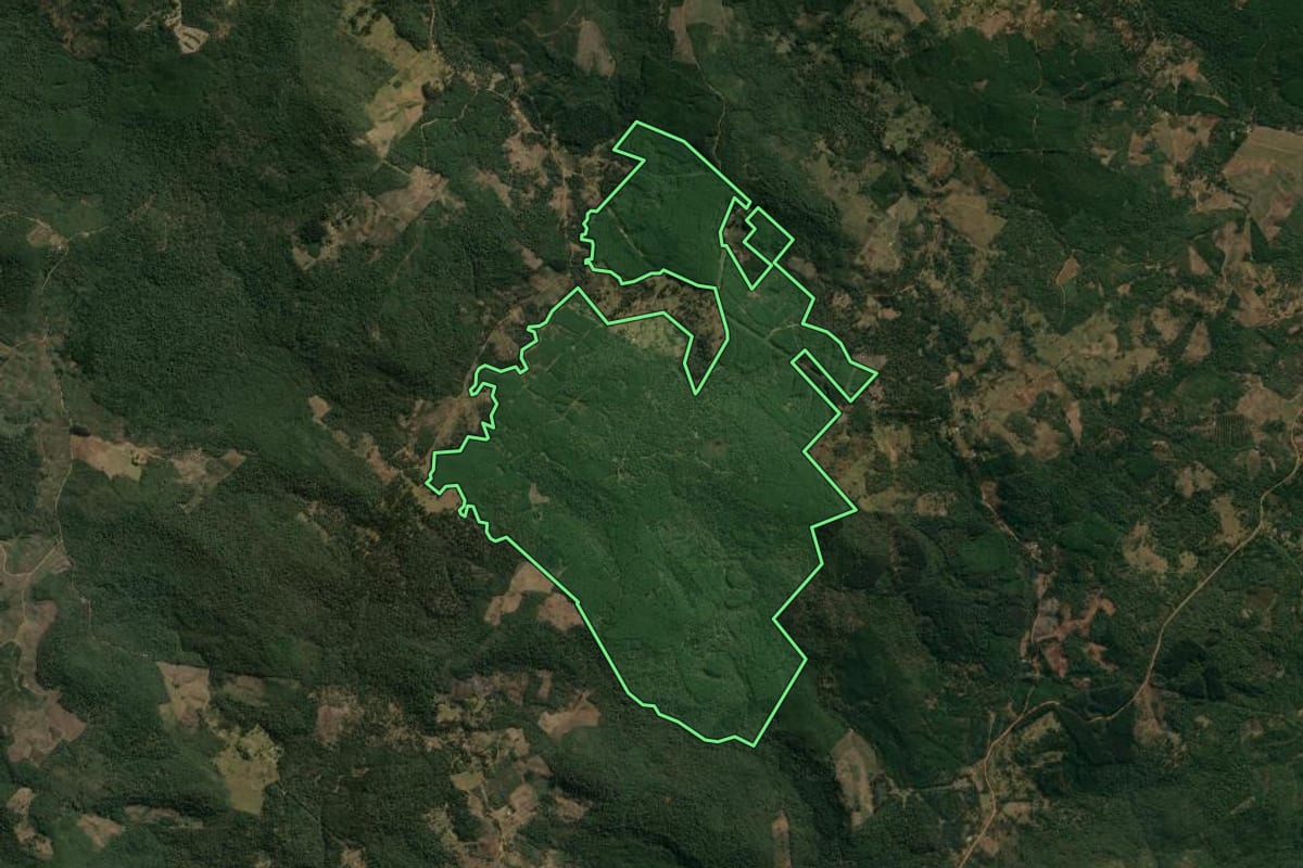 Imagem de satélite do imóvel rural em Inácio Martins (PR), com o contorno declarado no CAR desenhado por cima.