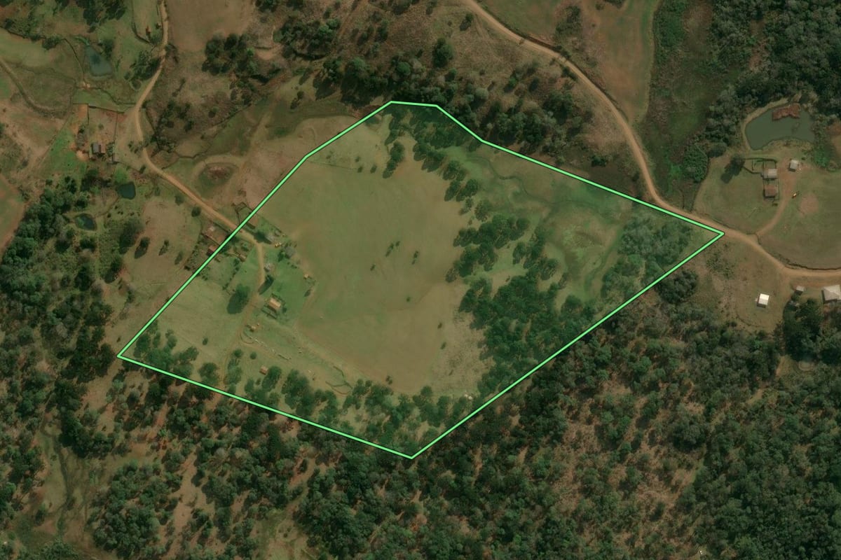 Imagem de satélite do imóvel rural em Inácio Martins (PR), com o contorno declarado no CAR desenhado por cima.