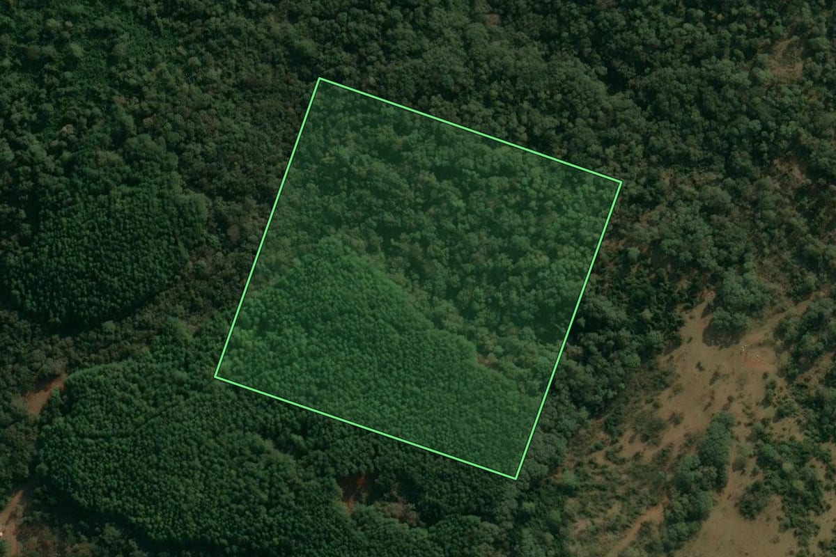 Imagem de satélite do imóvel rural em Inácio Martins (PR), com o contorno declarado no CAR desenhado por cima.