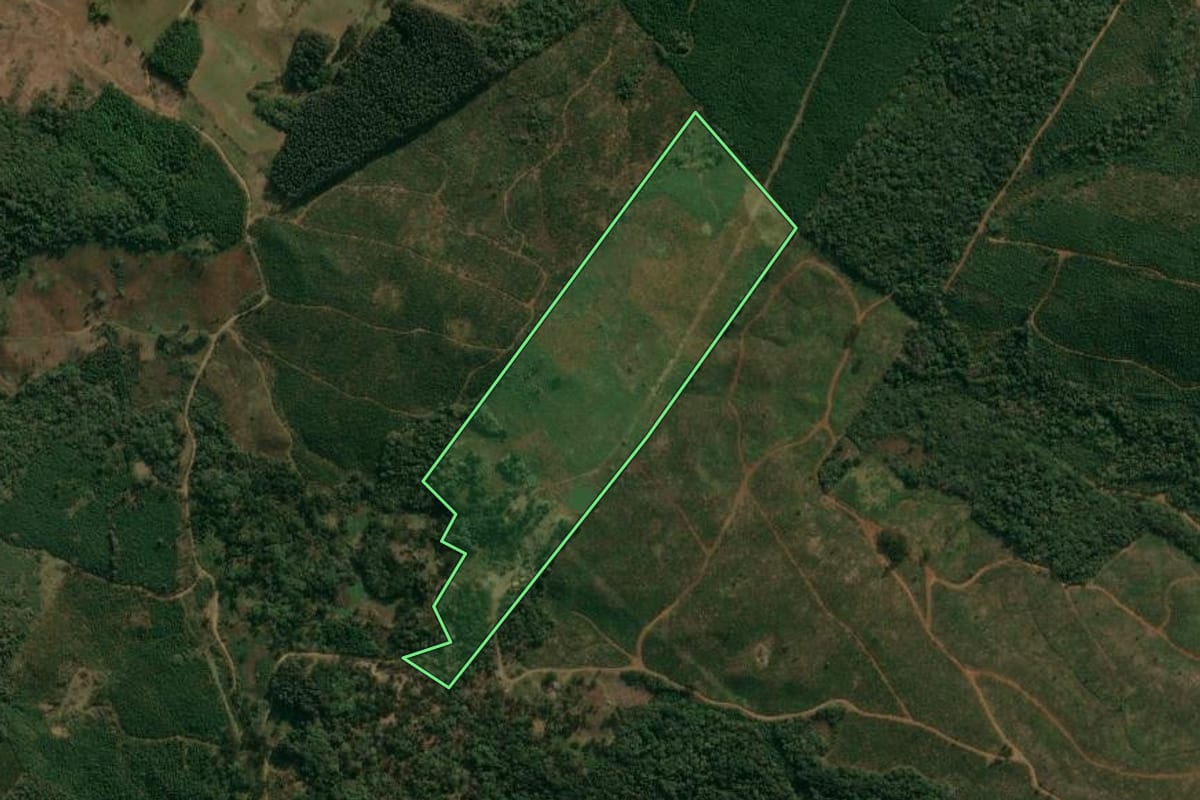 Imagem de satélite do imóvel rural em Inácio Martins (PR), com o contorno declarado no CAR desenhado por cima.
