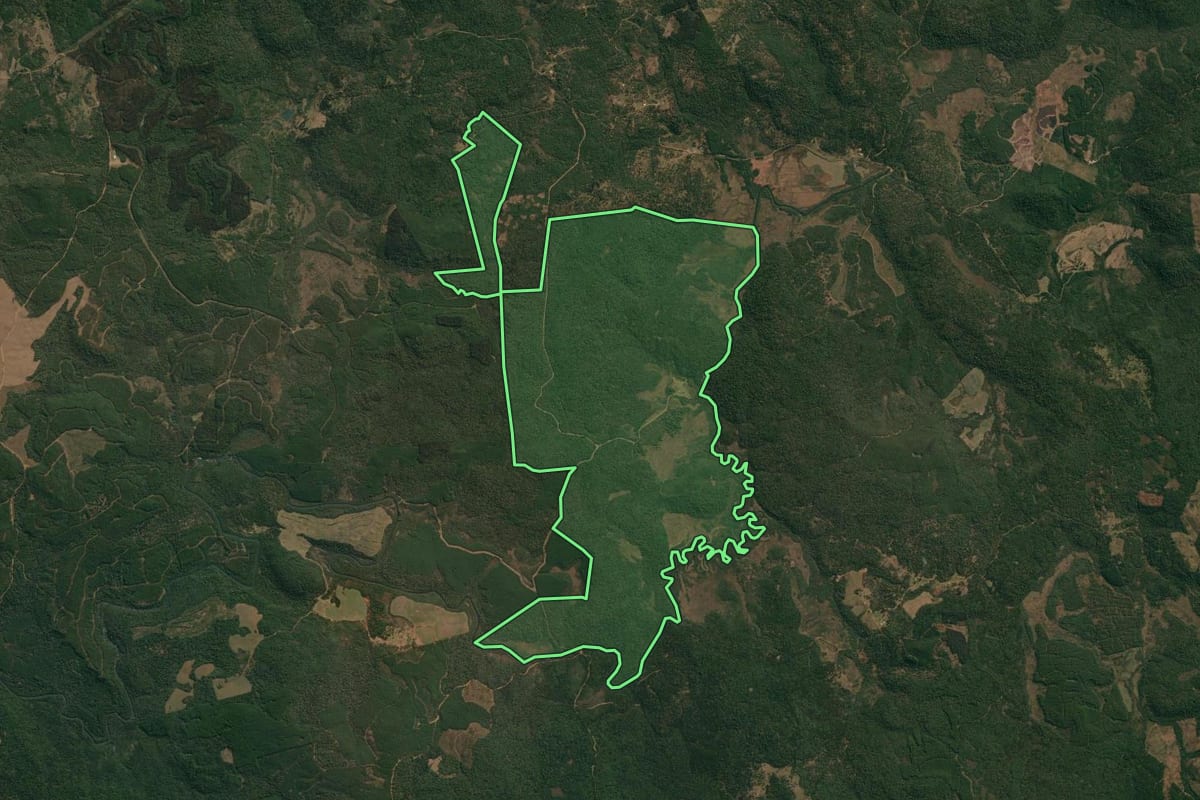 Imagem de satélite do imóvel rural em Inácio Martins (PR), com o contorno declarado no CAR desenhado por cima.