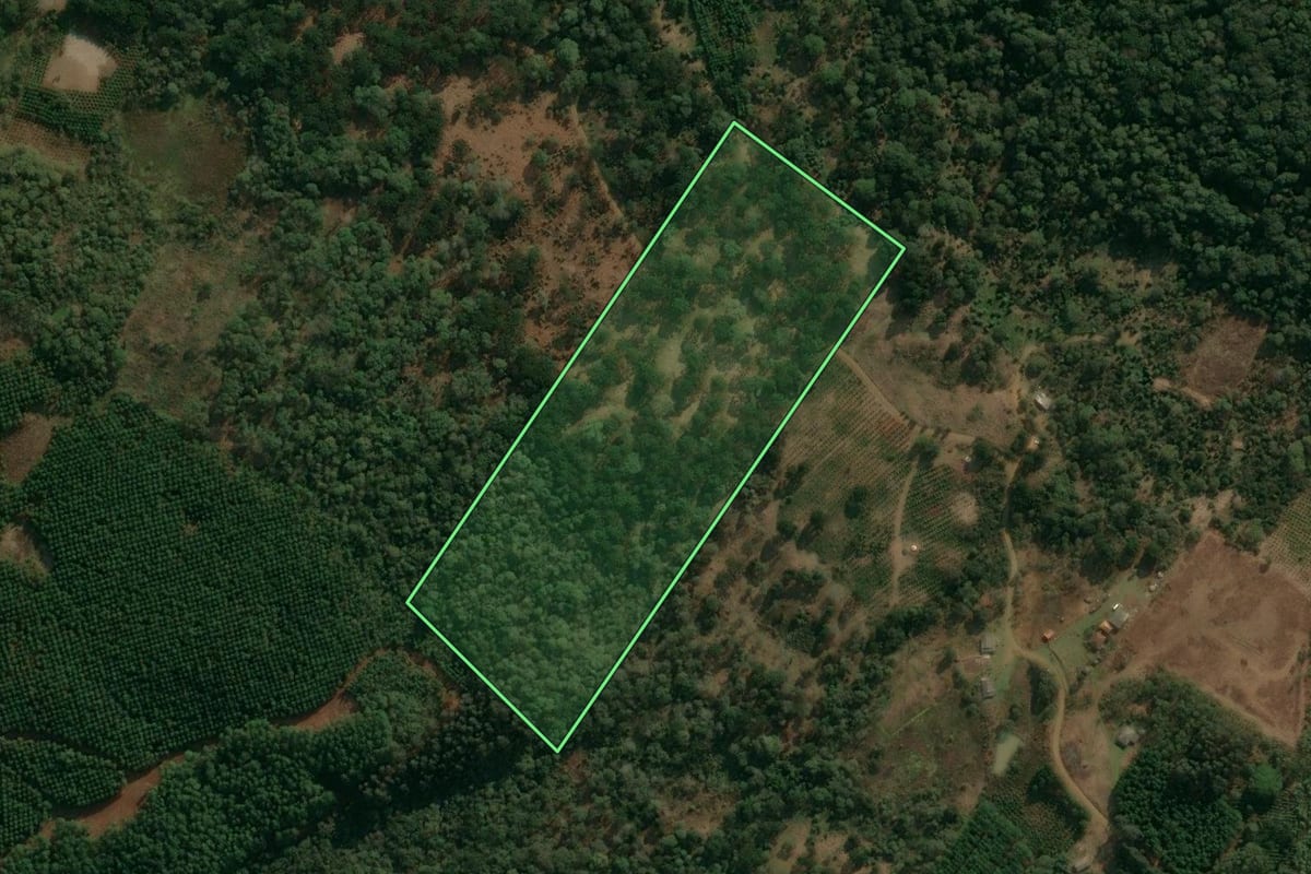 Imagem de satélite do imóvel rural em Inácio Martins (PR), com o contorno declarado no CAR desenhado por cima.