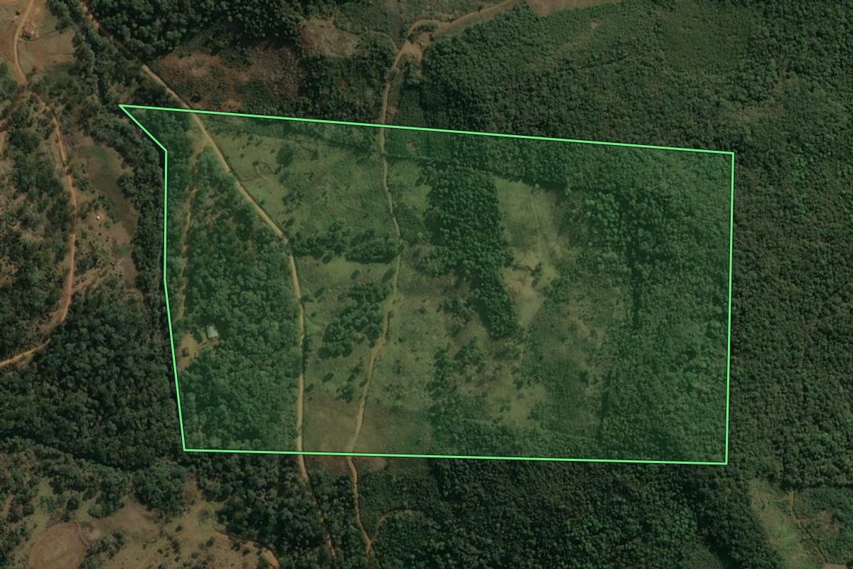 Imagem de satélite do imóvel rural em Inácio Martins (PR), com o contorno declarado no CAR desenhado por cima.