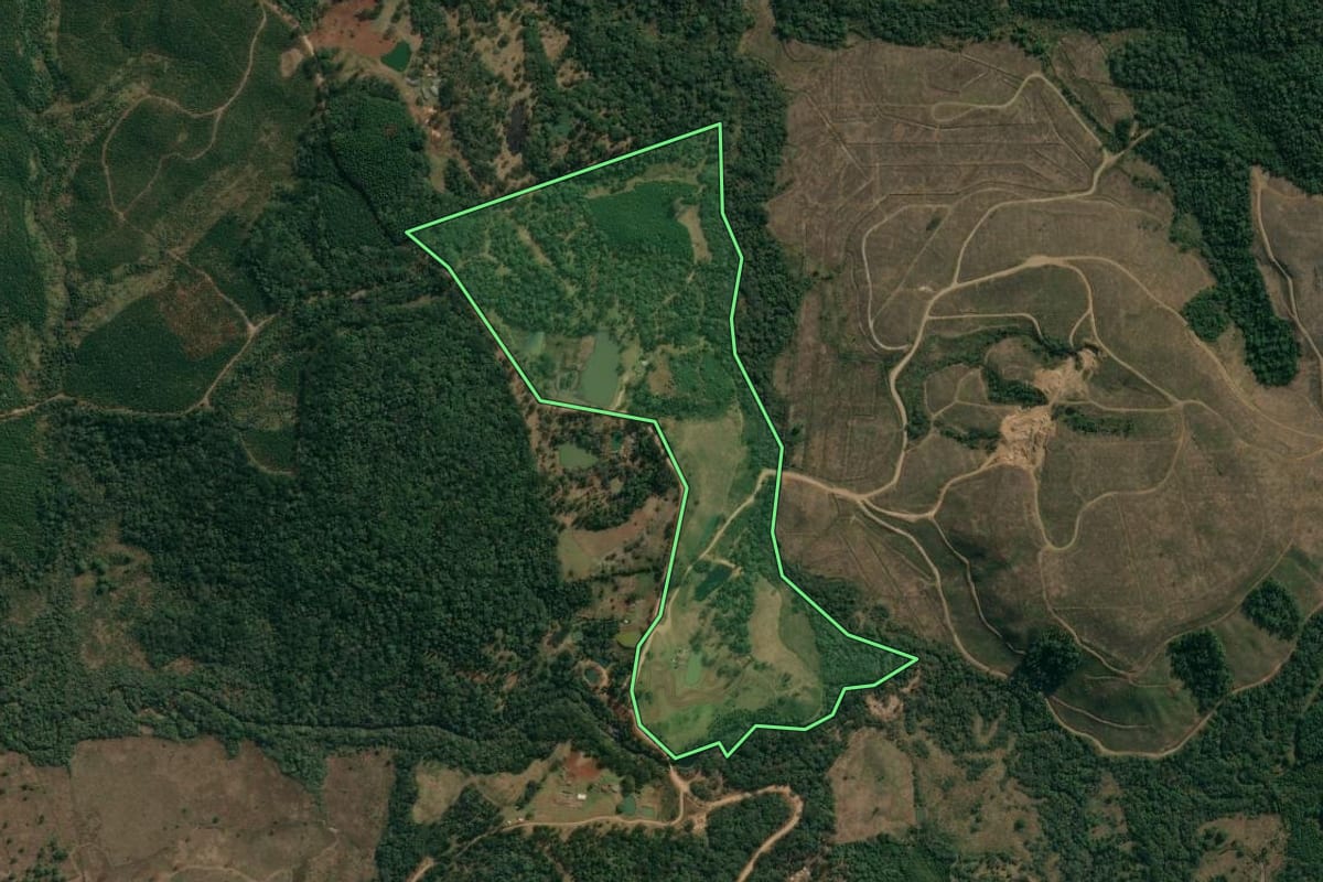 Imagem de satélite do imóvel rural em Inácio Martins (PR), com o contorno declarado no CAR desenhado por cima.