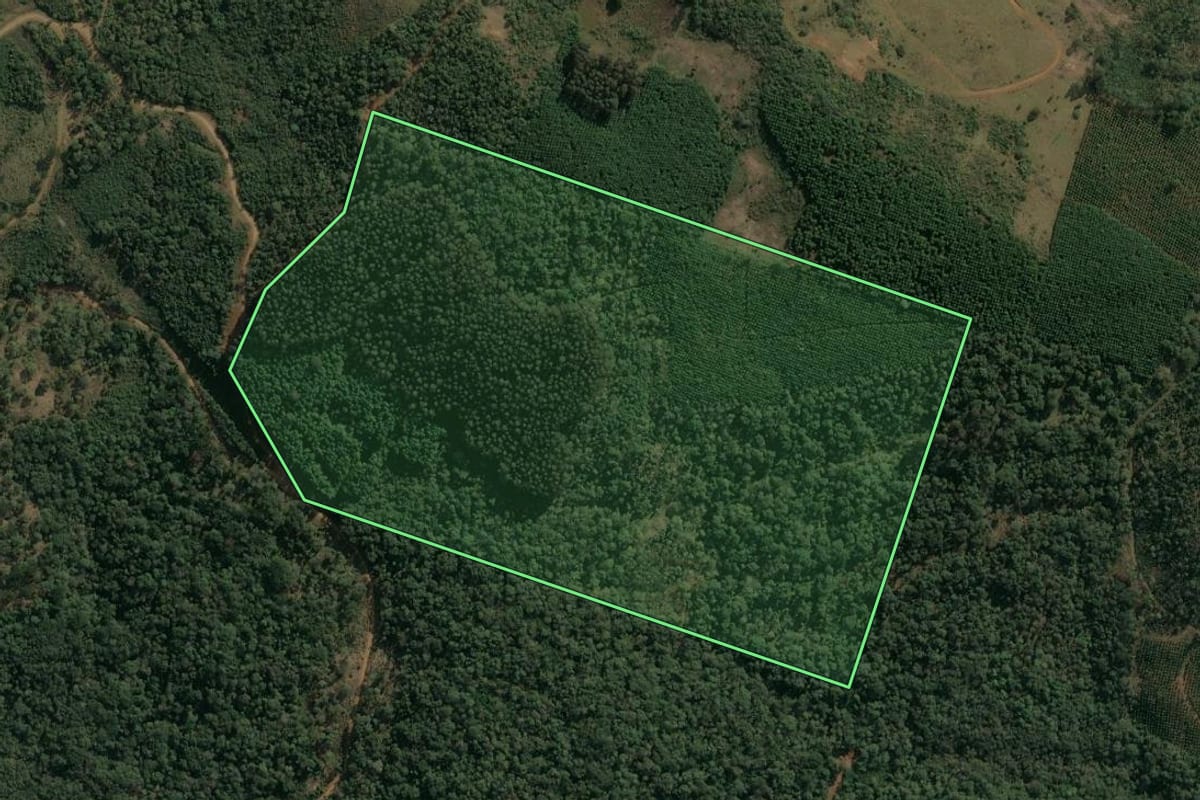 Imagem de satélite do imóvel rural em Inácio Martins (PR), com o contorno declarado no CAR desenhado por cima.