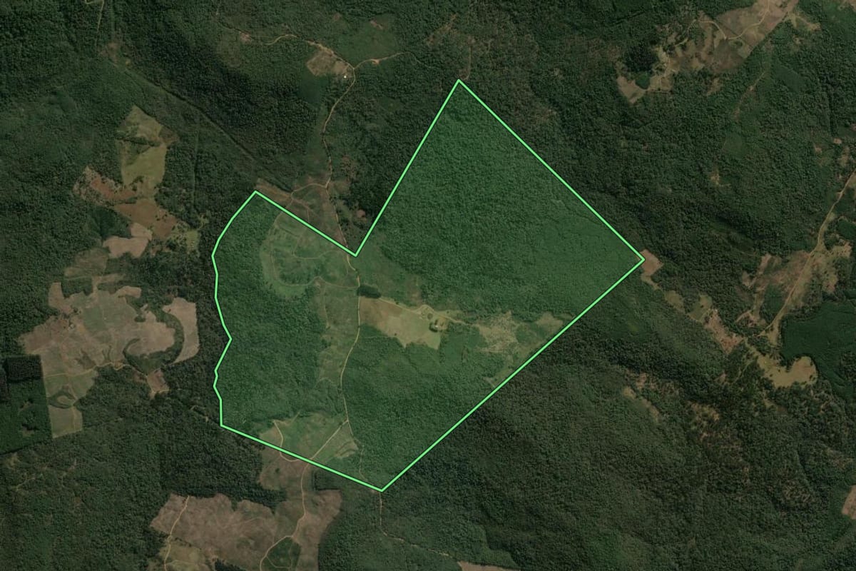 Imagem de satélite do imóvel rural em Inácio Martins (PR), com o contorno declarado no CAR desenhado por cima.